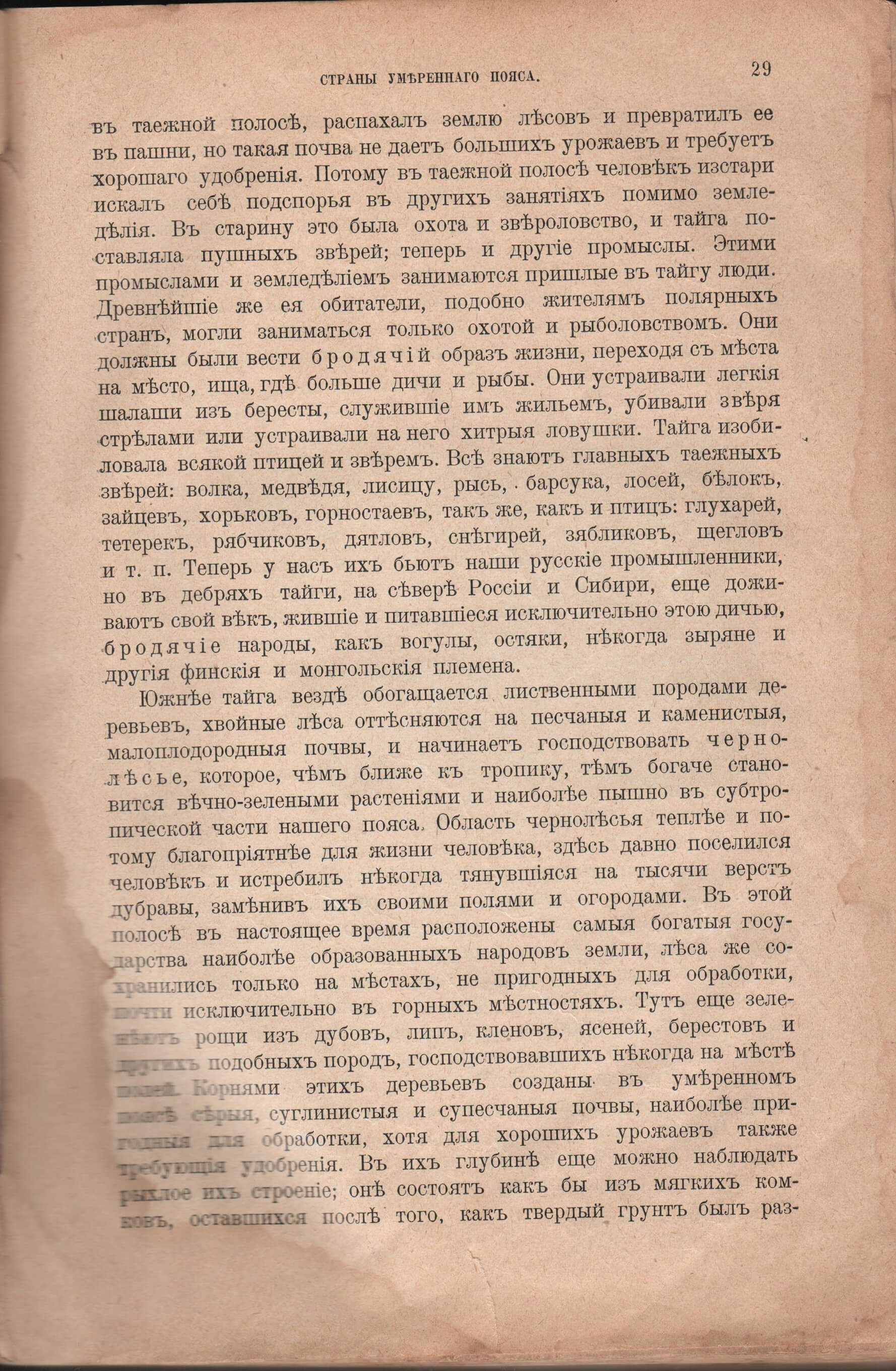 images/020.jpg
